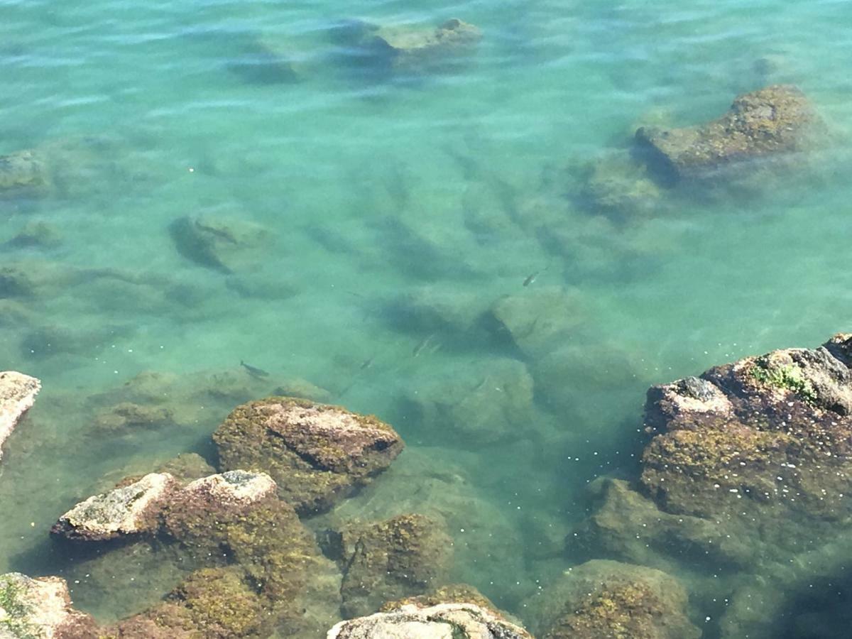 La Casetta Di Dory Sul Mare Генуя Екстер'єр фото